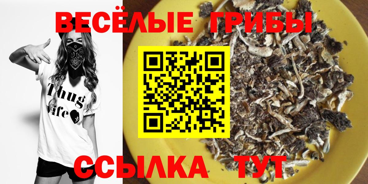 Тула  Псилоцибиновые грибы Cubensis  Вход с VPN 