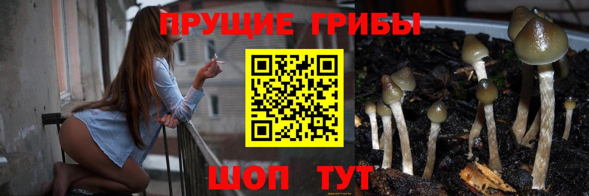 Галлюциногенные грибы Magic Shrooms Тула